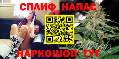 мдпв Канаш